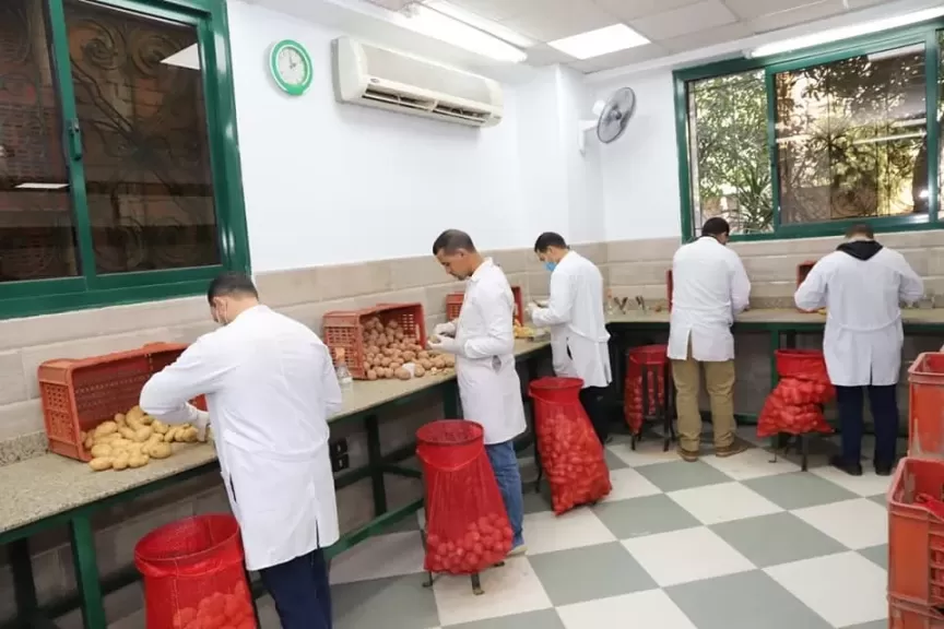 الزراعة تستعرض جهود مكافحة العفن البني