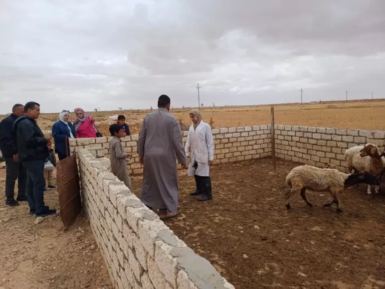 بحوث الصحراء يواصل تقديم الخدمات البيطرية ليدو مطروح