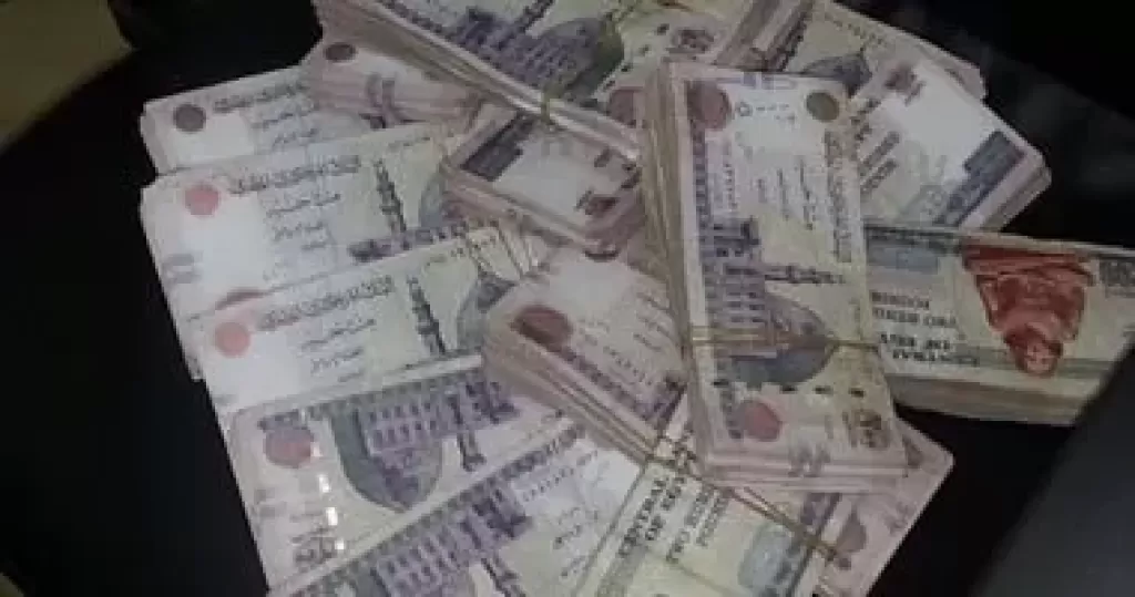 شركات توظيف الأموال تعود للواجهة بوعود 45% أرباح شهريًا