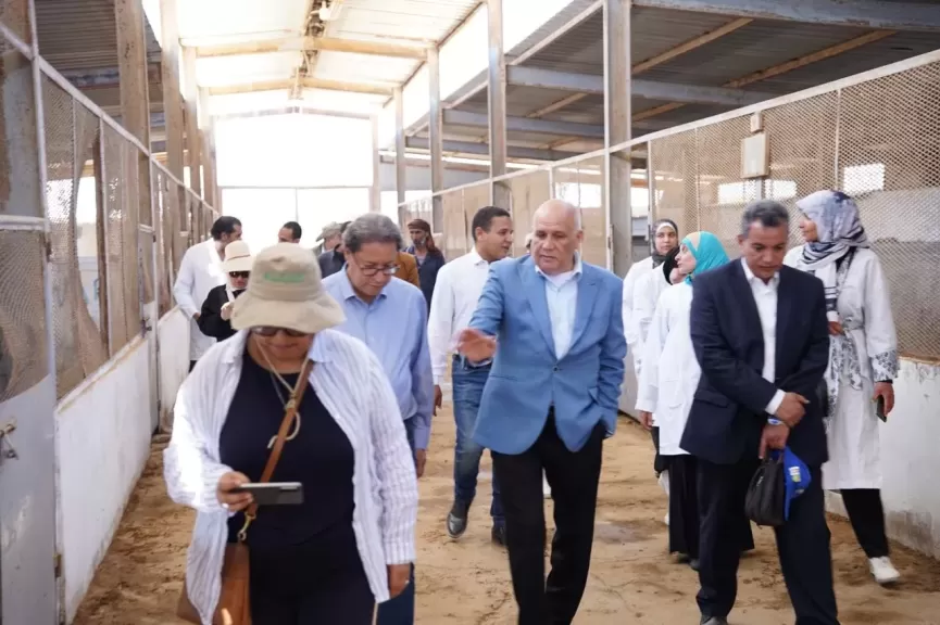 بحوث الصحراء يبحث التنمية المستدامة بمطروح مع إيكاردا