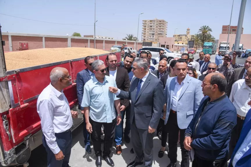 محافظ الإسكندرية يشهد حصاد القمح بالعامرية