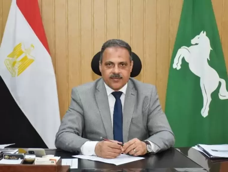 محافظ الشرقية يطمئن على نسب تنفيذ أعمال مشروعات الخطة الإستثمارية للعام المالي الحالي بديرب نجم