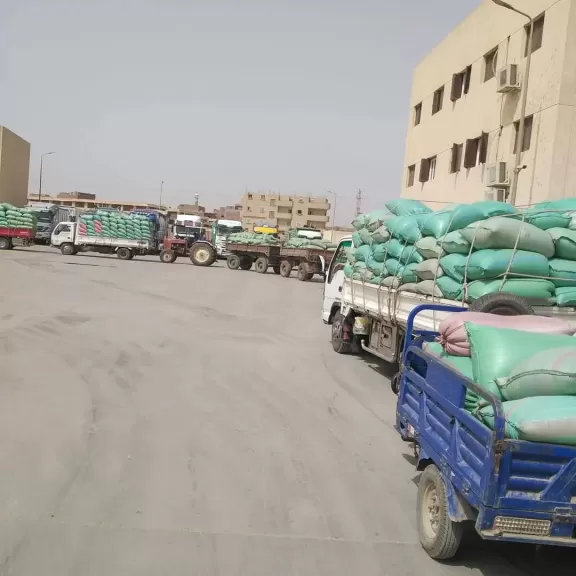 محافظ المنيا: توريد 375 ألف طن من القمح بصوامع المحافظة منذ بدء موسم 2025