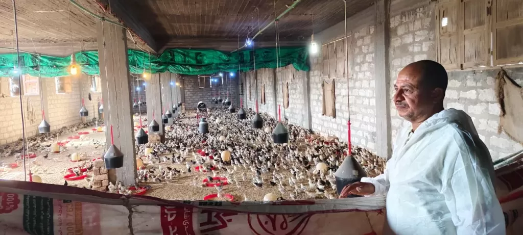 وزير الزراعة يستعرض جهود حماية الثروة الداجنة وتعزيز الاستقرار الوبائي في المحافظات