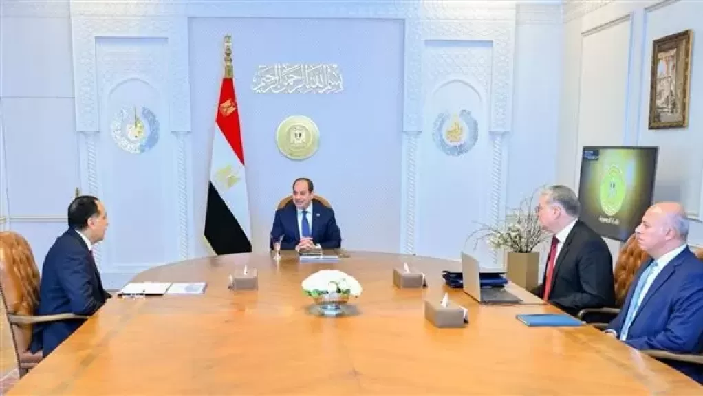 الرئيس السيسي يوجه الحكومة باتخاذ كل ما يلزم من إجراءات لضمان استقرار التغذية الكهربائية