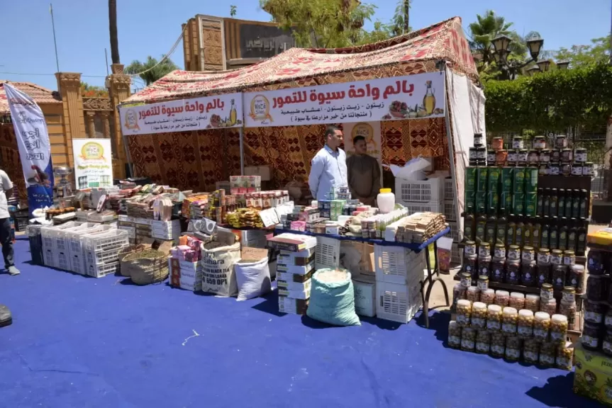 افتتاح معرض كنوز مطروح بالمنصورة