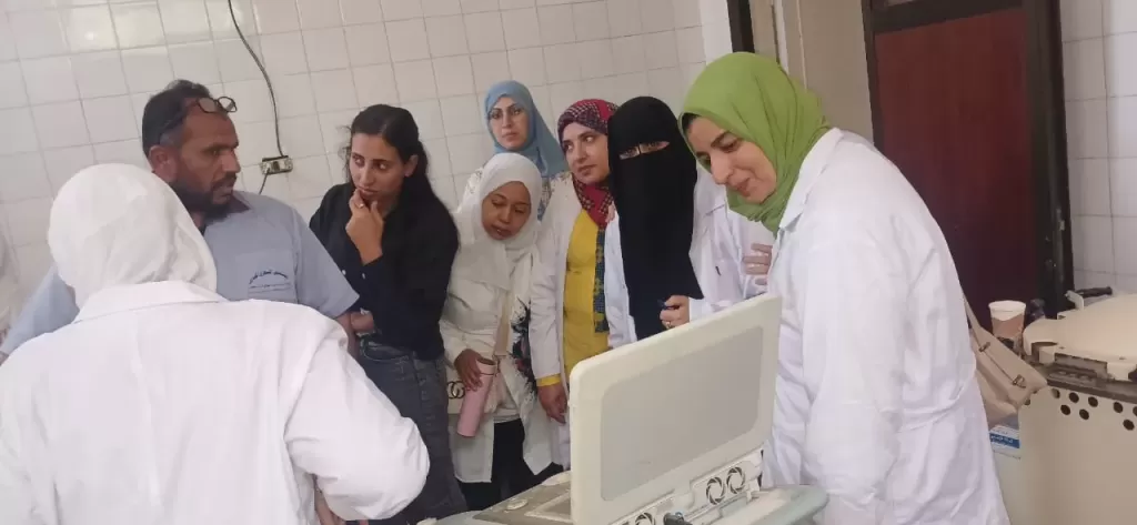 الخدمات البيطرية تختتم دورة تدريبية متخصصة لرفع كفاءة الأطباء في مجال الحيوانات الأليفة
