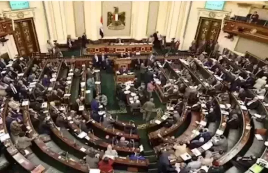 الوزير فوزي: الإشراف القضائي على الانتخابات مستمر