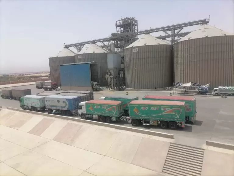 محافظ المنيا: توريد 450 ألف طن من القمح بصوامع المحافظة منذ بدء موسم 2025