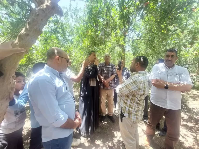 محافظ أسيوط: لقاءات دورية مع مزارعي الرمان لبحث التحديات ودعم الصناعة الزراعية