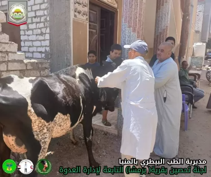 الزراعة.. أكثر من 6.8 مليون جرعة لتحصين الماشية ضد الحمى القلاعية والوادي المتصدع
