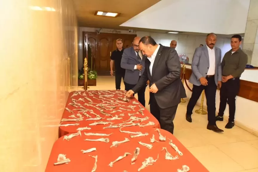 محافظ أسيوط: نجحنا في إعادة تأهيل 1600 آلة جراحية وتوفير ملايين الجنيهات للدولة