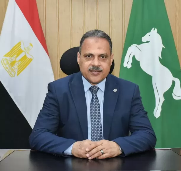 شون وصوامع محافظة الشرقية تنتهي من توريد ٥٨٢٧٣٣ طن و٤٢١ كيلو قمح محلي