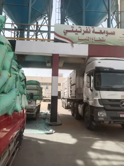 محافظ المنيا: توريد 489 ألف طن قمح منذ بدء موسم 2025 دعمًا للأمن الغذائي