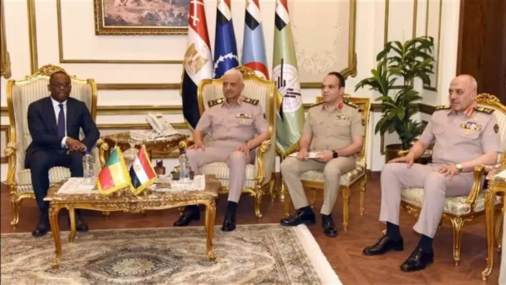 الفريق أول عبد المجيد صقر يلتقى وزير خارجية بنين