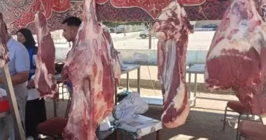 وزارة الصحة توجه نصائح مهمة للتعامل مع اللحوم النيئة فى العيد