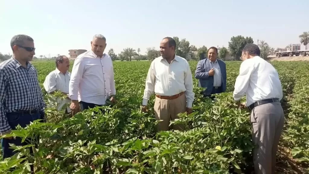رجال الحجر الزراعي يواصلون المتابعة والفحص بالمنافذ لضمان الأمن الغذائي
