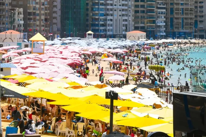 محافظة الإسكندرية تعلن عن فتح مظاريف العطاءات يوم الأحد 15 يونيو 2025