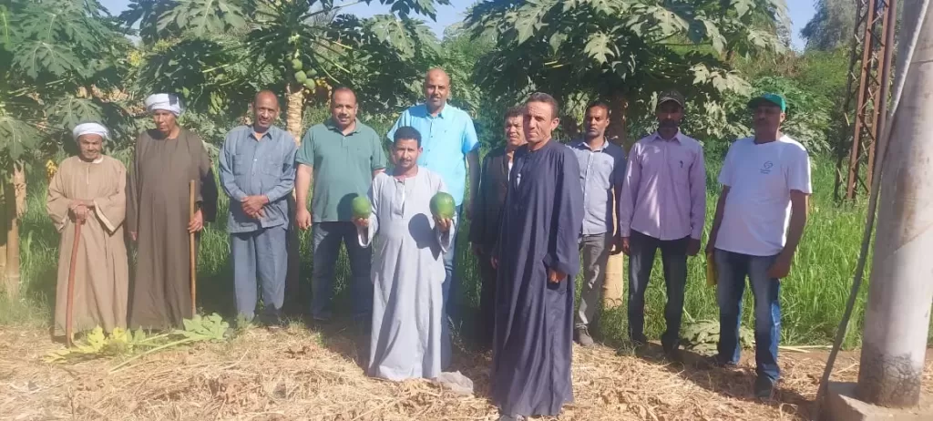 الزراعة تتفقد الأنشطة الإرشادية ودعم المزارعين بمحطة البحوث بكوم امبو خلال إجازة العيد