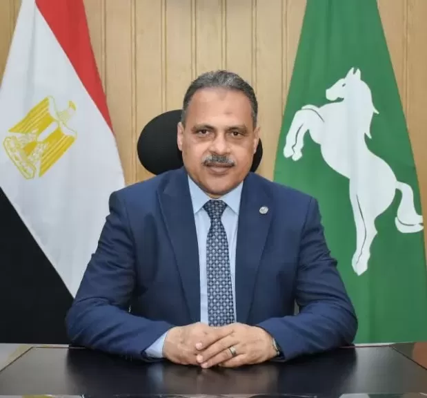 منذ بداية الحصاد...صوامع وشون الشرقية تستقبل ٥٩٤٧٣١ طن و ٧٤٩ كيلو من الأقماح المحلية
