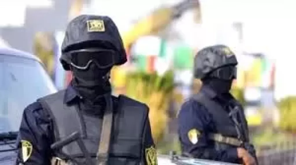 جهود قطاع أمن المنافذ فى مواجهة جرائم التهريب ومخالفات الإجراءات الجمركية خلال 24 ساعة