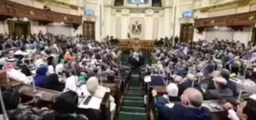 النائبة فاطمة سليم توجه أسئلة  للحكومة حول مراعاة أحداث المنطقة فى تقديرات الموازنة العامة للدولة وخطة التعامل معها