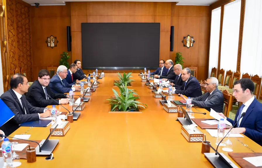 وزير الخارجية والهجرة يستقبل وزير التعليم العالى والبحث العلمى
