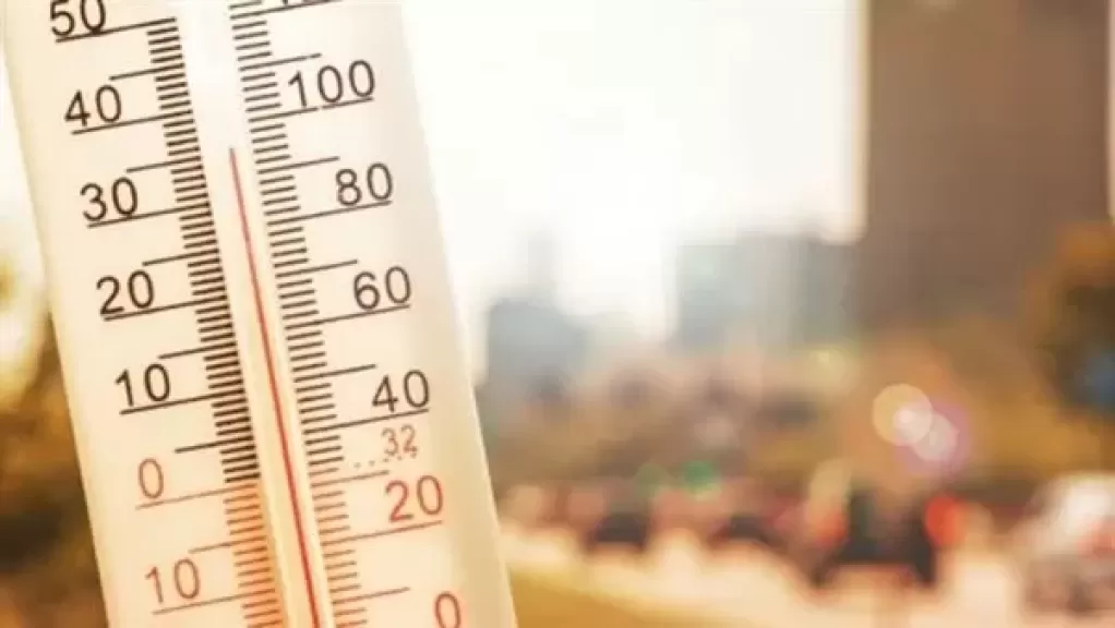 شبورة ونشاط رياح.. تفاصيل حالة الطقس حتى الإثنين المقبل