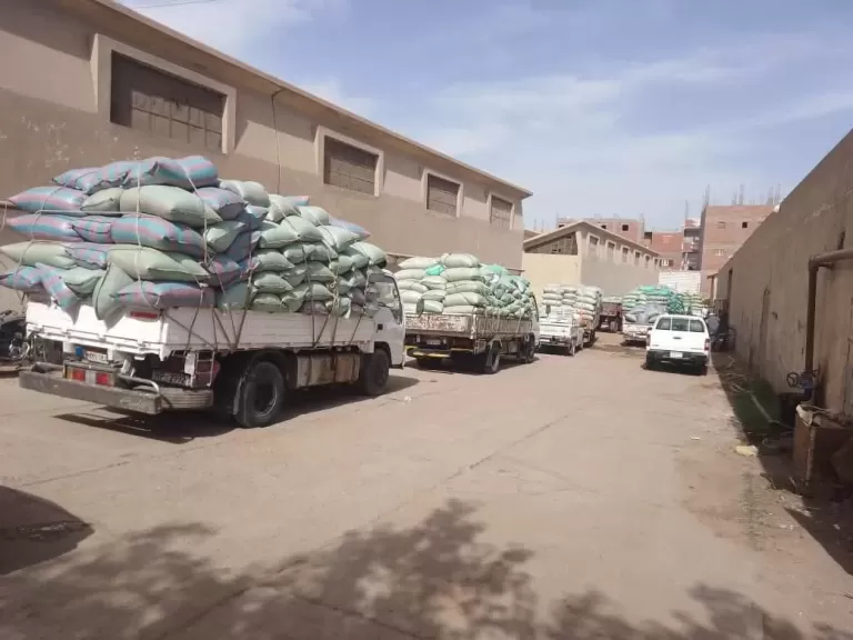 محافظ المنيا: استمرار أعمال توريد القمح بتوريد 510 آلاف طن منذ بدء موسم 2025