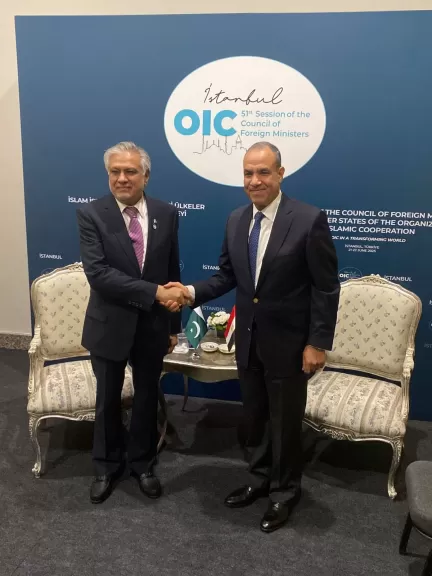 وزير الخارجية والهجرة يلتقي بنظيره الباكستاني في إسطنبول
