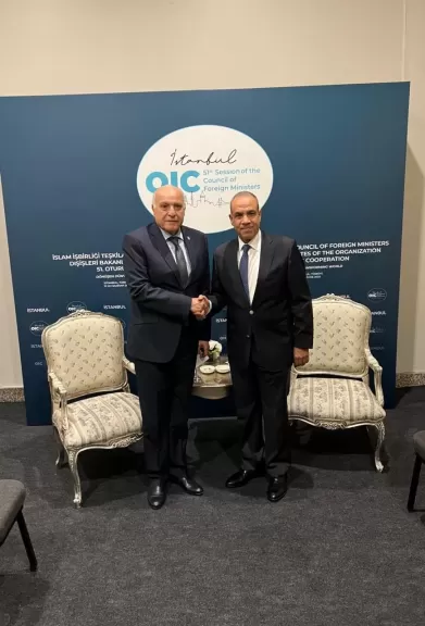 لقاء على هامش اجتماع مجلس وزراء خارجية منظمة التعاون الإسلامي في إسطنبول بين وزير الخارجية والهجرة ونظيره الجزائري