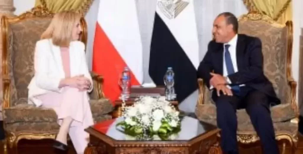 وزير الخارجية يجري مشاورات سياسية مع نظيرته النمساوية
