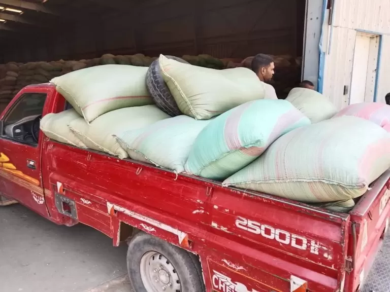محافظ المنيا: استمرار أعمال توريد القمح بتوريد 511 ألف طن منذ بدء موسم 2025