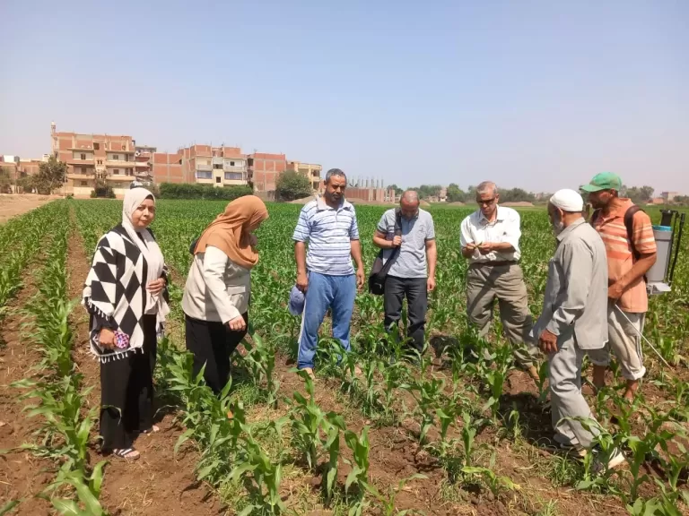 الإرشاد الزراعي:  ينفذ 700 ندوة استفاد منها أكثر من 10000 مزارع خلال شهر يونيو