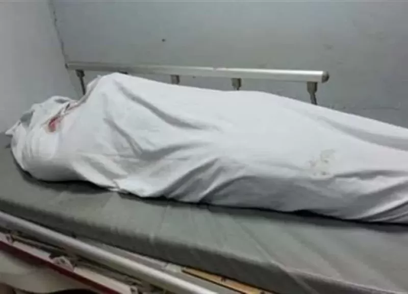 مقتل مسن طعنًا على يد نجله في الدقهلية بسبب خلافات أسرية