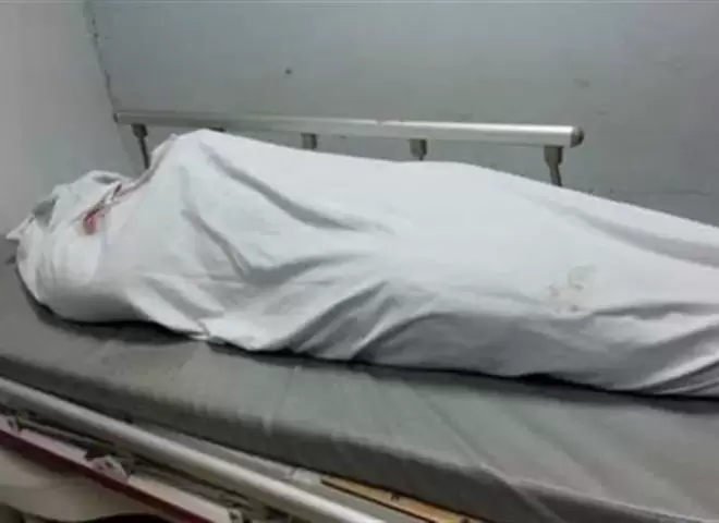 مقتل مسن طعنًا على يد نجله في الدقهلية بسبب خلافات أسرية