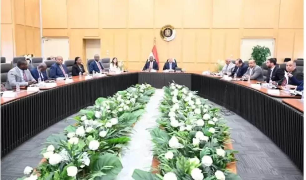 وزير الصناعة والنقل يعقد جلسة مباحثات هامة مع نائب رئيس مجلس الوزراء بالكونغو الديمقراطية