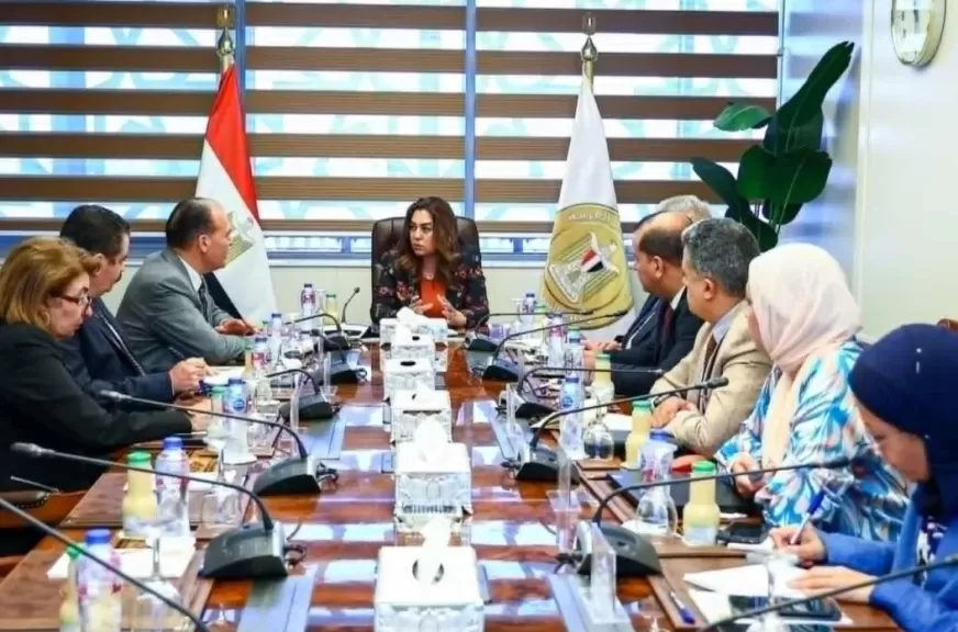 الهوية البصرية.. وزيرة التنمية المحلية تستعرض خطوات توحيد الشكل الحضاري للمحافظات