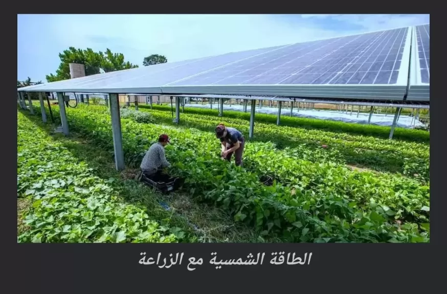 حصاد أنشطة مبادرة تنمية المهارات الحياتية للمرأة الريفية «بنت الريف»