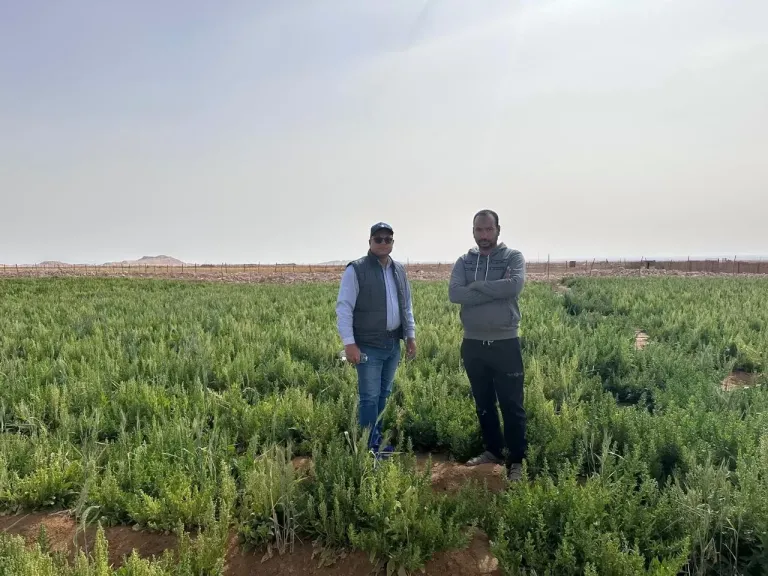 الأسمدة