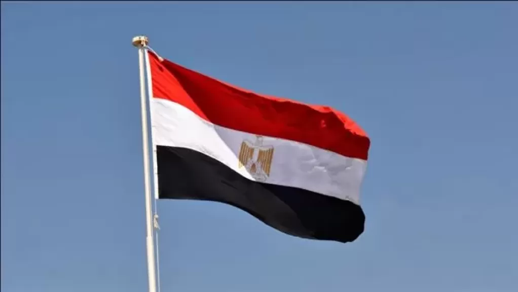 مصر تكثف جهودها مع كافة الأطراف الدولية لإدخال مزيد من المساعدات إلى غزة