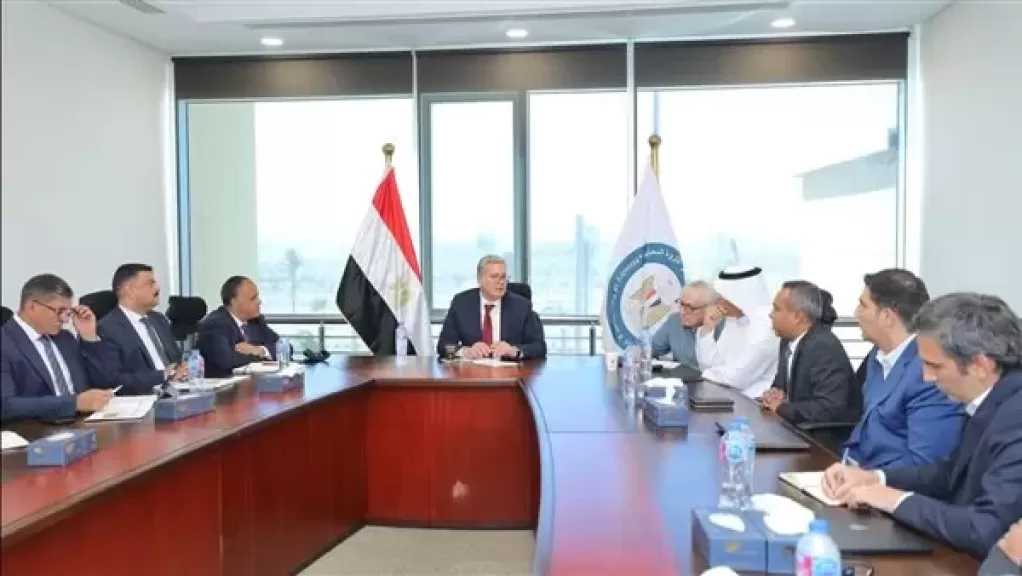 وضع خطة لإعداد قاعدة بيانات عن أماكن الثروات المعدنية في مصر