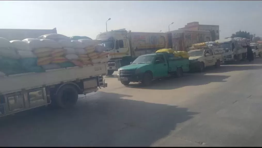 منذ بداية الحصاد...صوامع وشون الشرقية تستقبل٦٠٣٥٤٥طن و  ٢٠٦ كيلو من الأقماح المحلية
