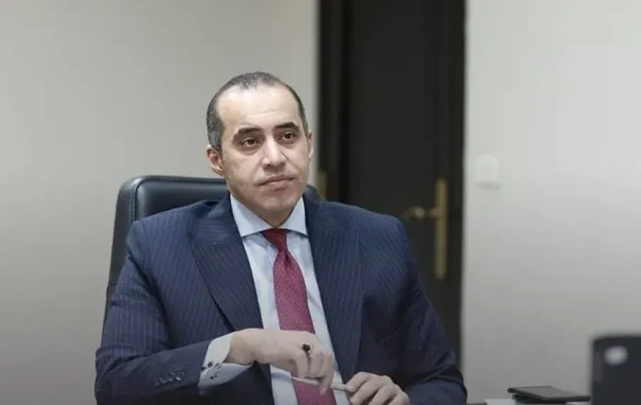 المستشار محمود فوزي