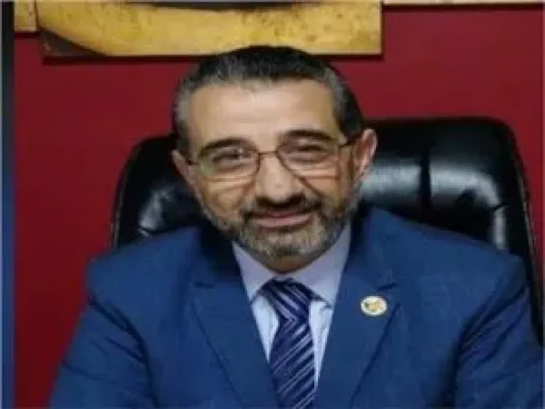 د عمرو السمنودى