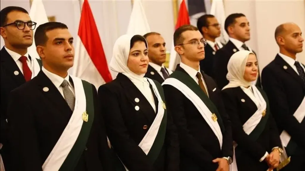 مجلس الدولة