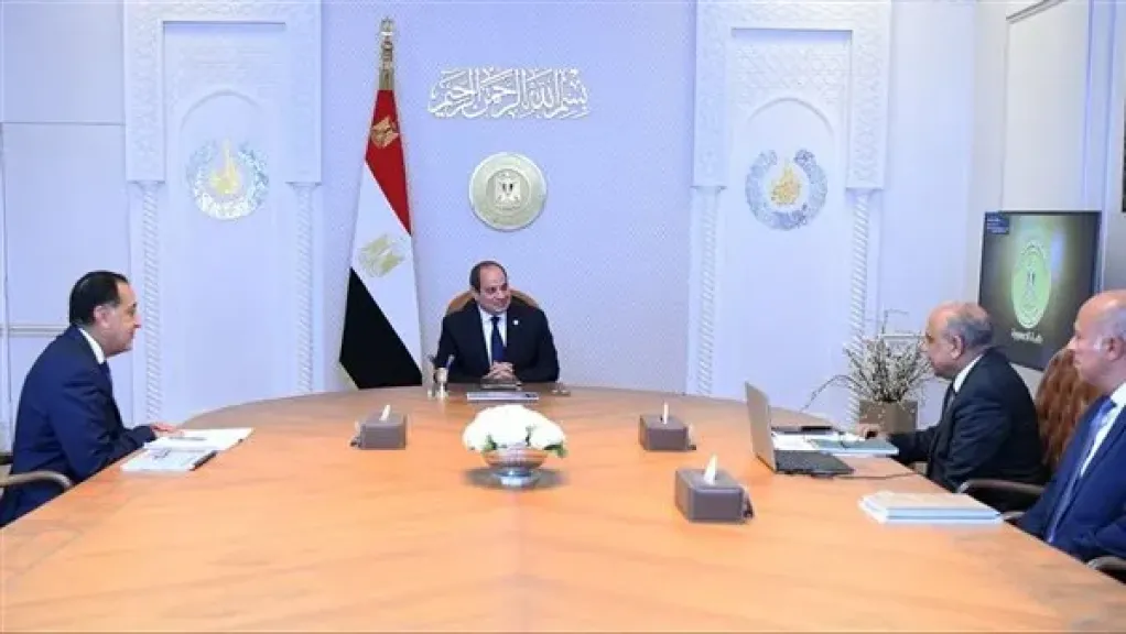الرئيس السيسي خلال الاجتماع