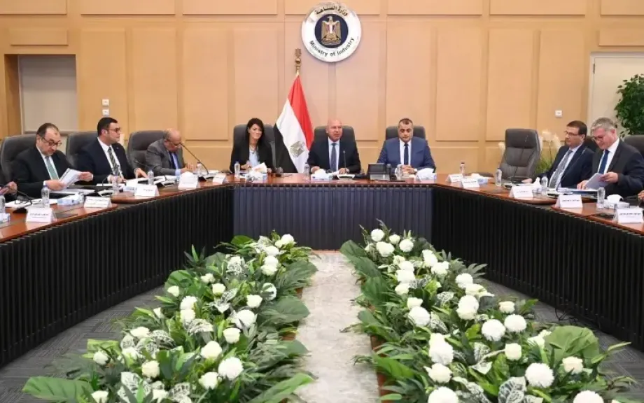 المجموعة الوزارية للتنمية الصناعية 