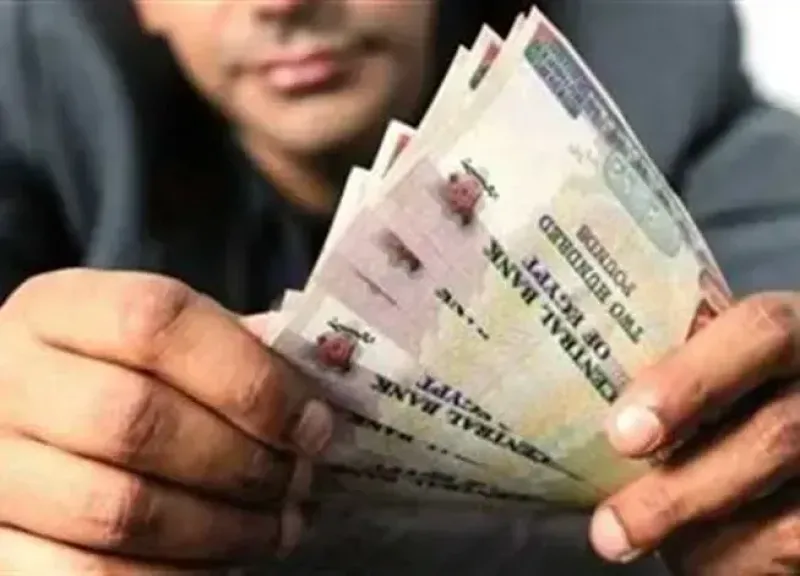 مرتبات شهر نوفمبر 