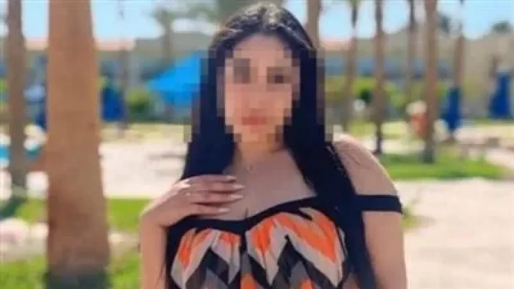 البلوجر دينا محمد
